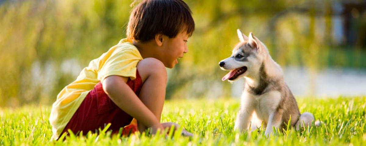 Kleiner Hund mit kleinem Jungen