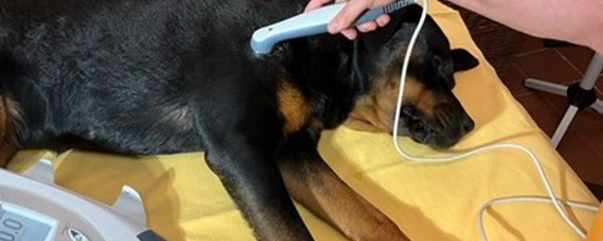 Geräte-Therapie - 1